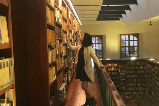 La Ciudadela, Biblioteca de México